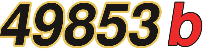 49853b logo